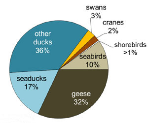 Pie chart of migratory bird subsistence harvest